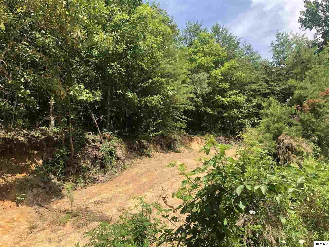 43 Sharp Road Sevierville, TN 37876 - Photo 23 of 24 a view of a yard