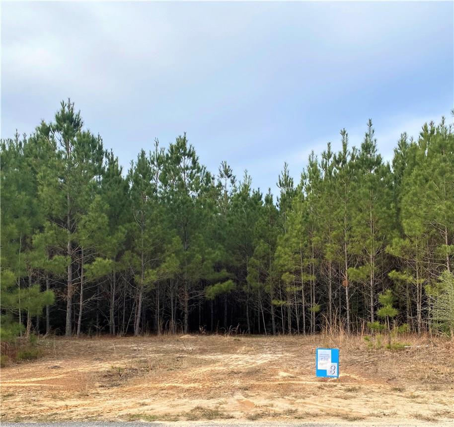 Tbd Stamps Road Merryville, LA 70653 - Photo 1 of 1