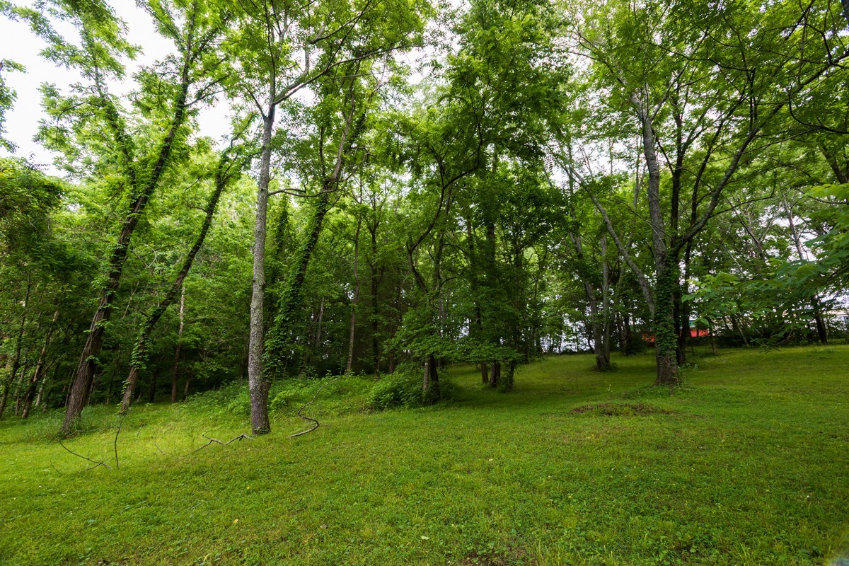 266 Denny Road Clarksville, TN 37043 - Photo 48 of 52