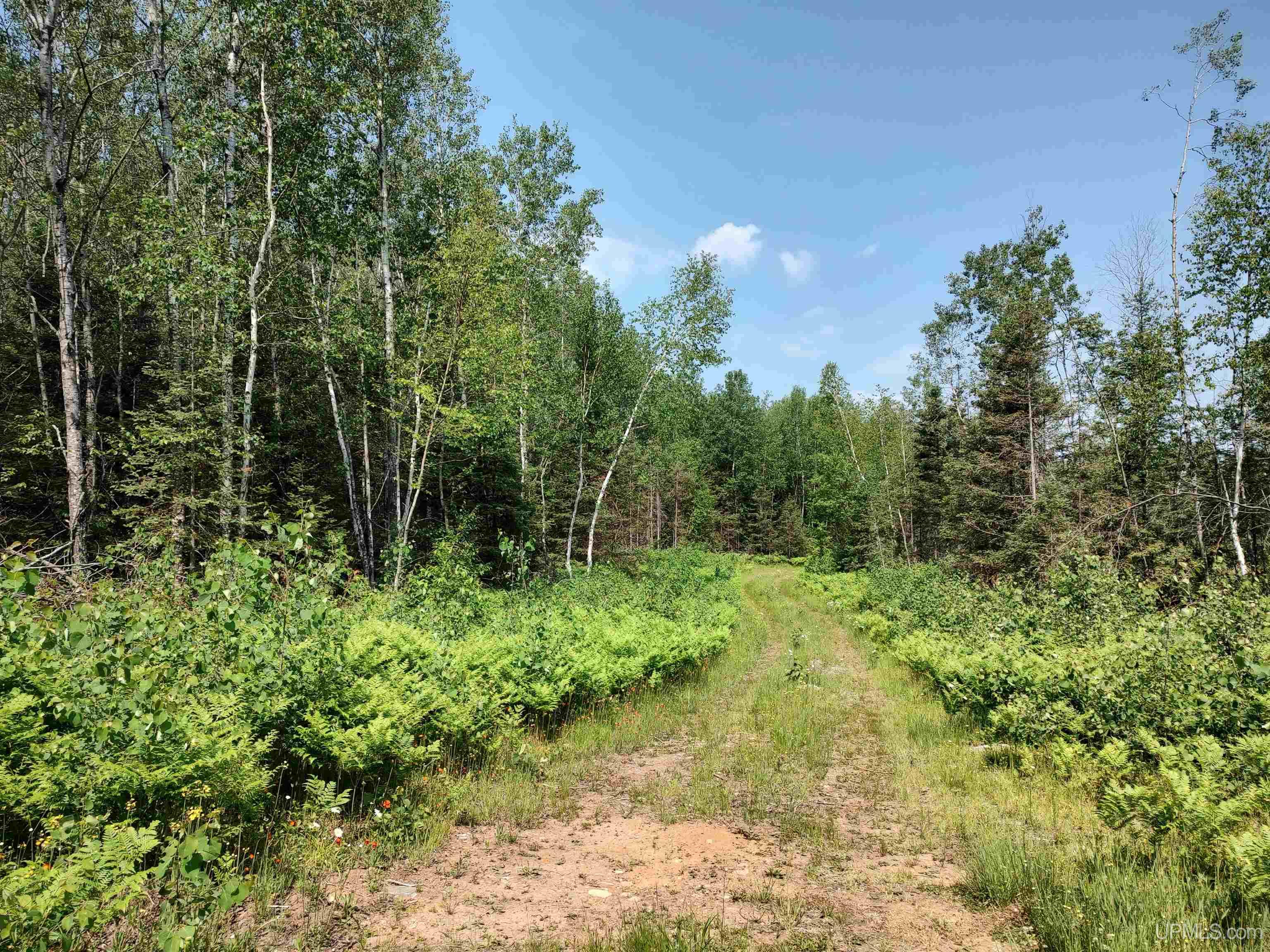 601 County Road 601 Road Republic, MI 49879 - Photo 26 of 60