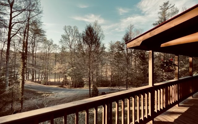 175 Reece Creek Road West Blairsville, GA 30512 - Photo 2 of 4 Additional View