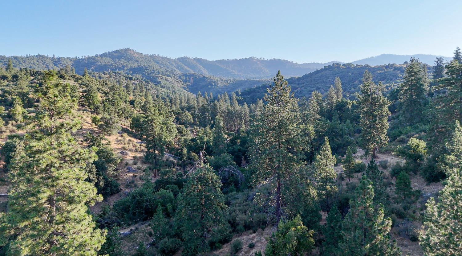 0 Whitaker Forest Road Miramonte, CA 93603 - Photo 20 of 78 an aerial view of residential house and green space