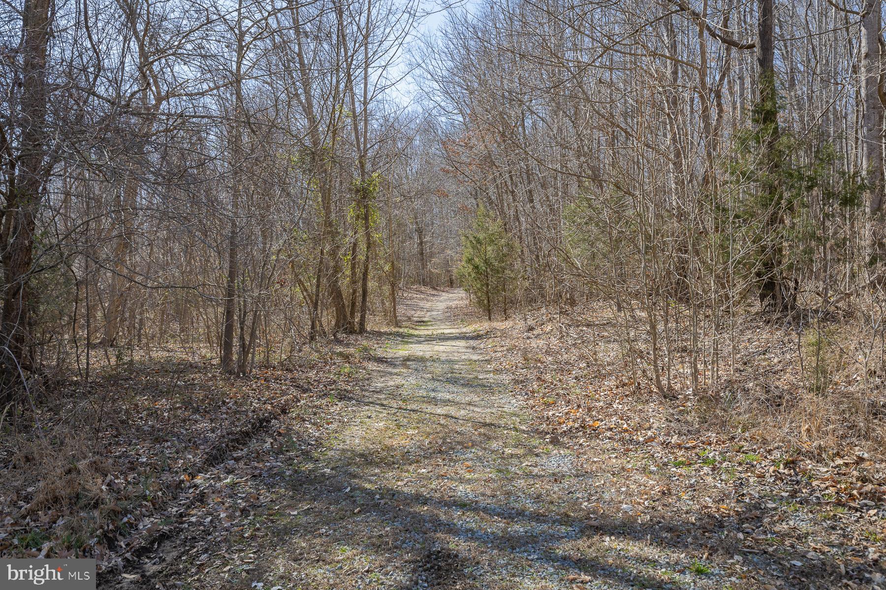 23088 Frog Level Road Ruther Glen, VA 22546 - Photo 37 of 39