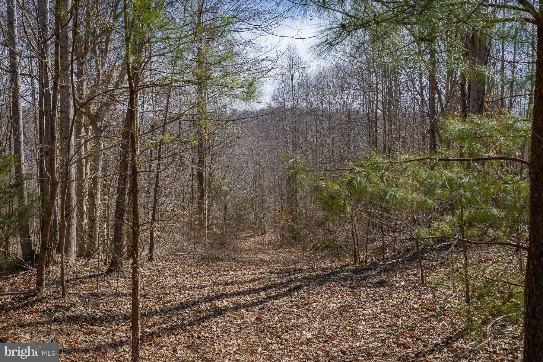 23088 Frog Level Road Ruther Glen, VA 22546 - Photo 38 of 39