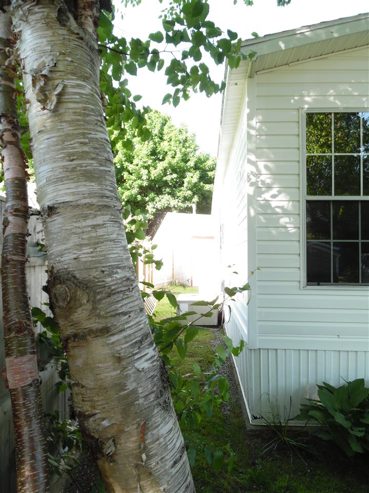 158 Lafayette Road North Hampton, NH 03862 - Photo 8 of 28