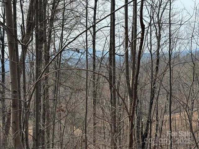 $65,000 | Lot 236 Rock Ledge Dr Lake, Lake Lure, NC 28746