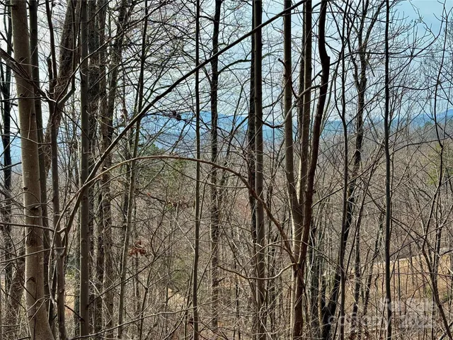 $65,000 | Lot 236 Rock Ledge Dr Lake, Lake Lure, NC 28746