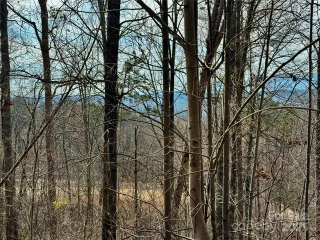 $65,000 | Lot 236 Rock Ledge Dr Lake, Lake Lure, NC 28746