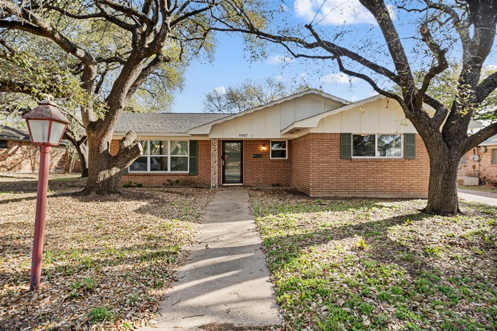 front view of a house with a large tree