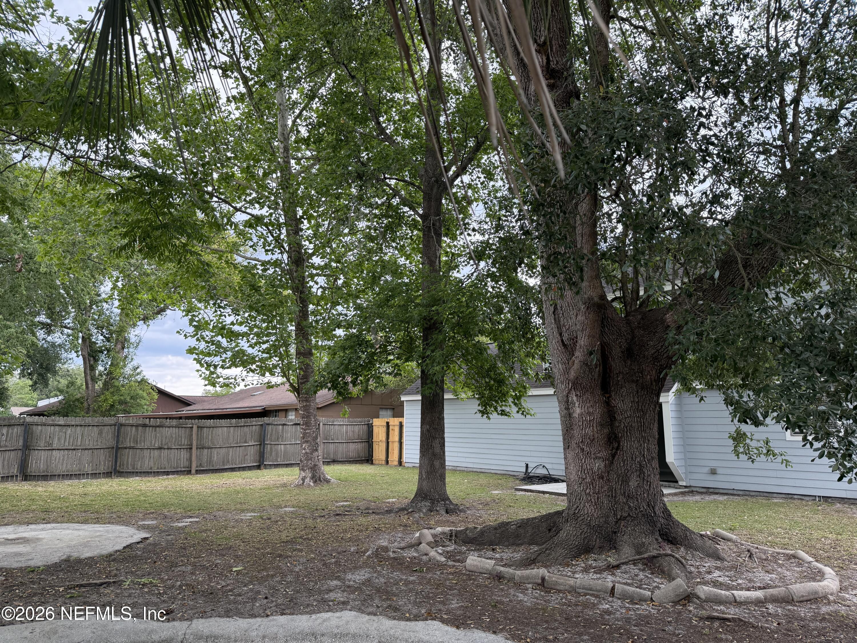 11598 West Ride Drive Jacksonville, FL 32223 - Photo 13 of 15 a tree in the backyard of a house