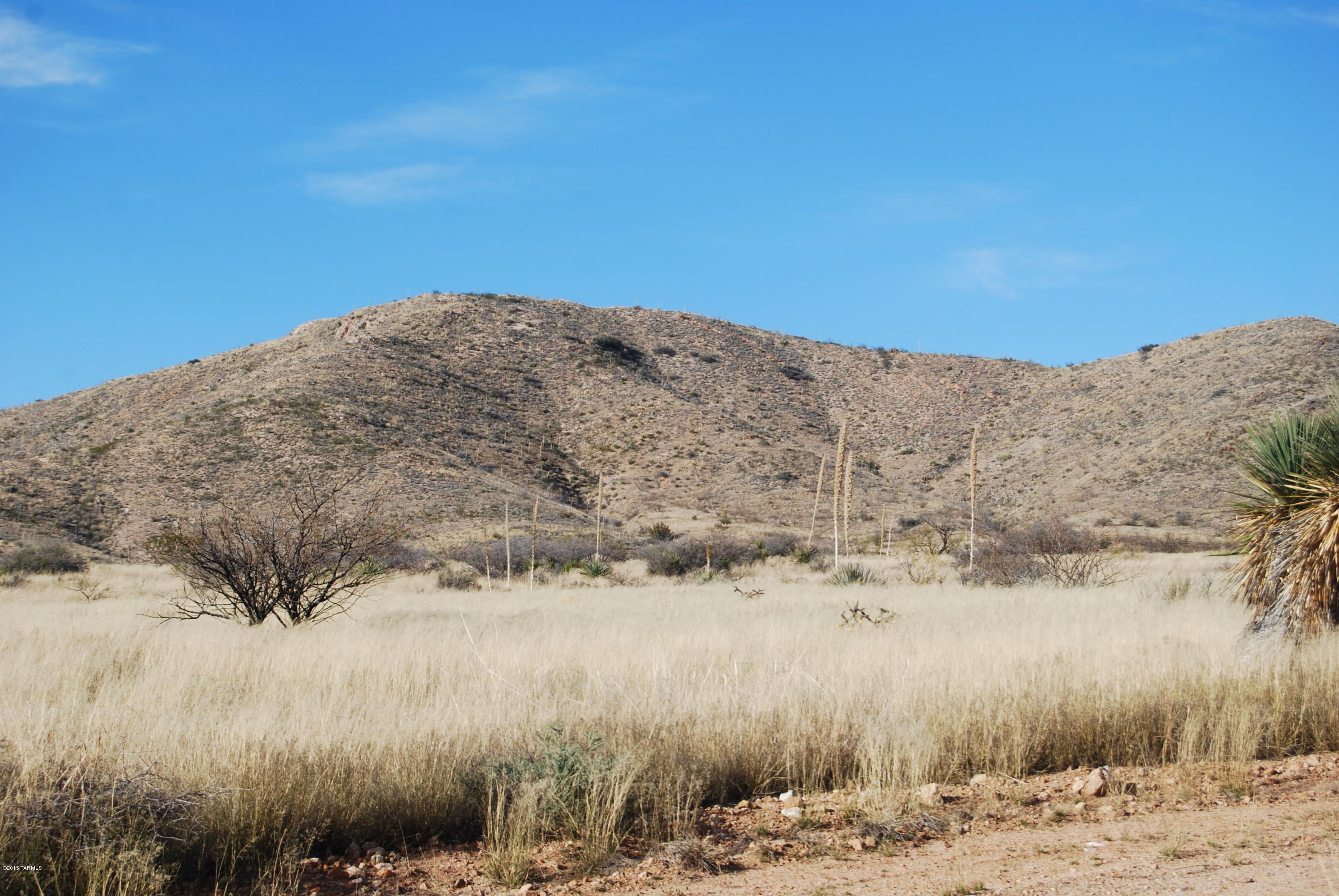 East Diamondback Road St. David, AZ 85630 - Photo 7 of 32