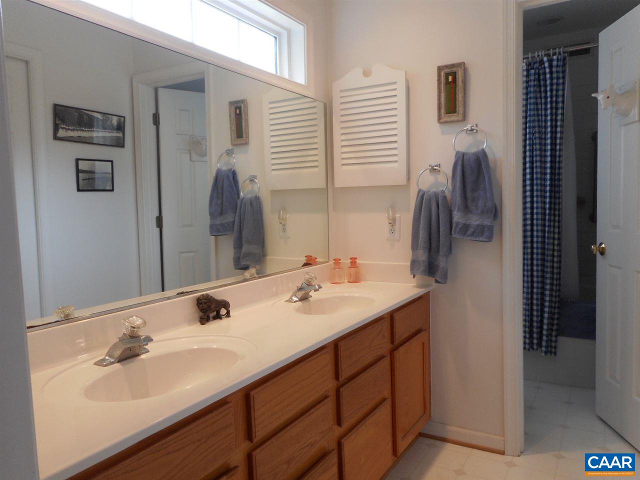 1233 Raintree Drive Charlottesville, VA 22901 - Photo 21 of 26 a bathroom with a sink and a mirror
