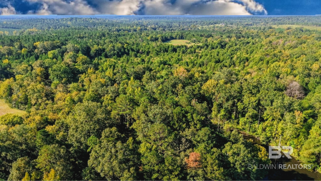 0 Highway 17 Millry, AL 36558 - Photo 68 of 73 Gallery Image 68