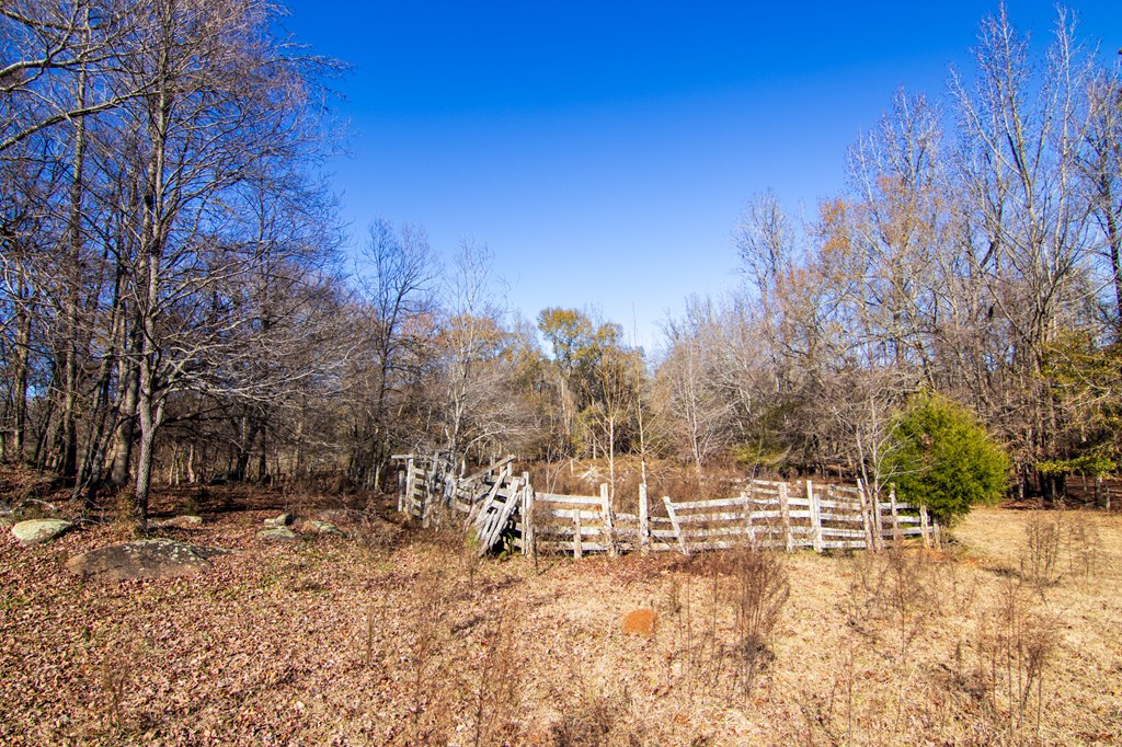 1-0 St Paul Church Road Shiloh, GA 31826 - Photo 11 of 28 a view of a yard covered in snow