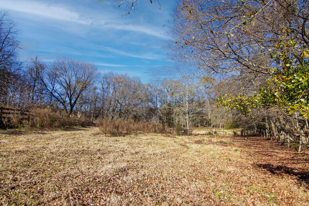 1-0 St Paul Church Road Shiloh, GA 31826 - Photo 12 of 28 a view of snow covered with trees