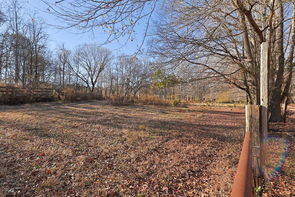 1-0 St Paul Church Road Shiloh, GA 31826 - Photo 20 of 28 a view of dirt yard