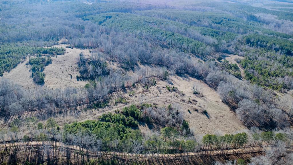 1-0 St Paul Church Road Shiloh, GA 31826 - Photo 22 of 28 a view of a dry yard