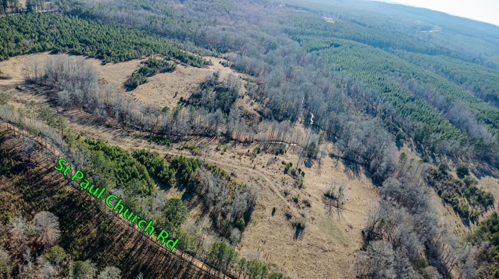 1-0 St Paul Church Road Shiloh, GA 31826 - Photo 23 of 28 a view of a dry field with trees