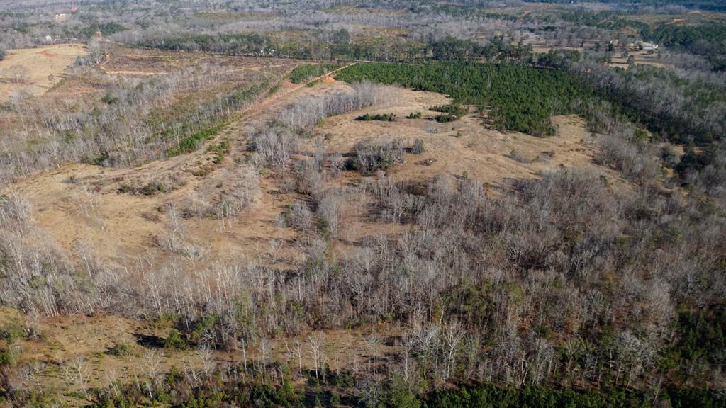 1-0 St Paul Church Road Shiloh, GA 31826 - Photo 25 of 28 a view of a forest with lots of trees
