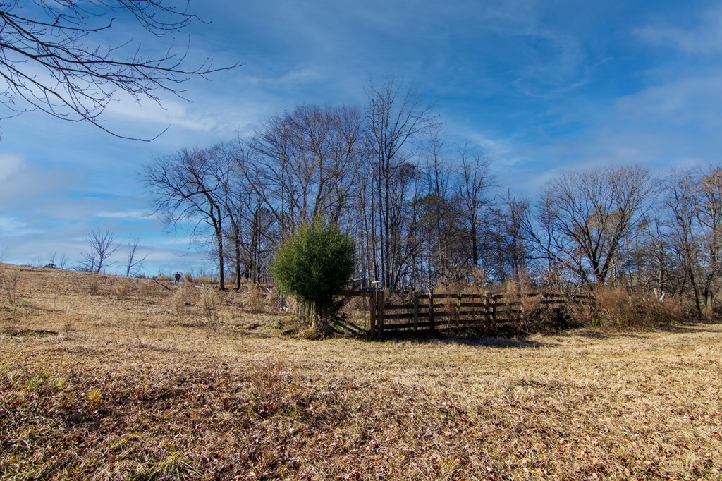 1-0 St Paul Church Road Shiloh, GA 31826 - Photo 3 of 28 a view of wooden fence under a large tree