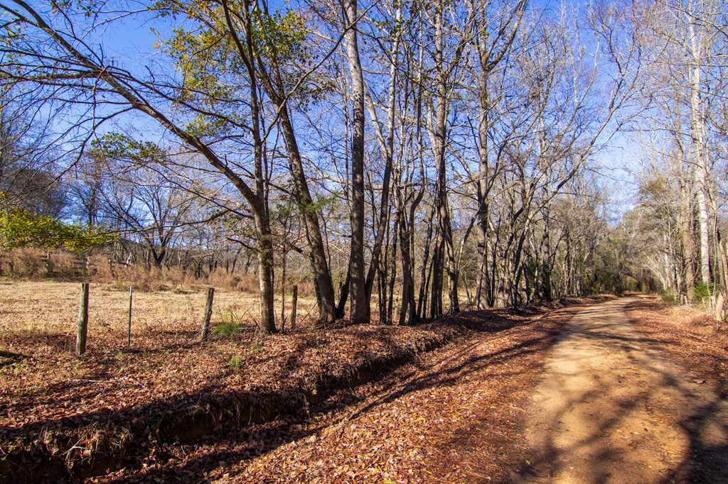 1-0 St Paul Church Road Shiloh, GA 31826 - Photo 5 of 28 a view of house with trees