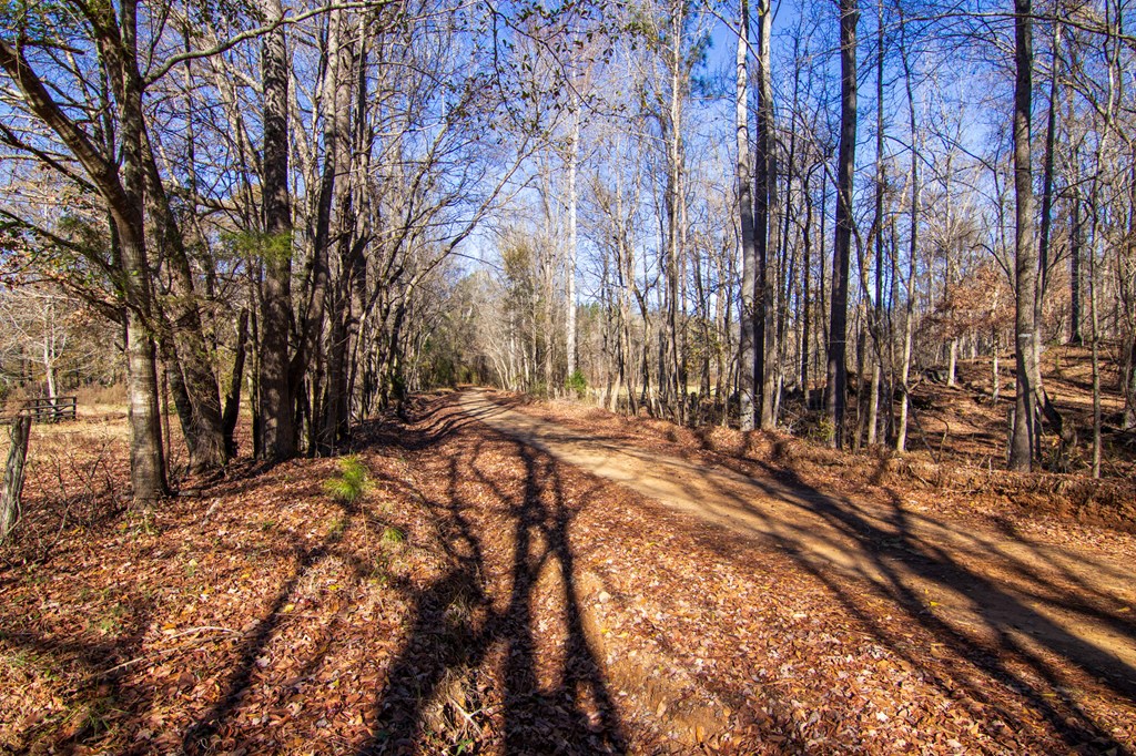 1-0 St Paul Church Road Shiloh, GA 31826 - Photo 6 of 28 a view of outdoor space with yard