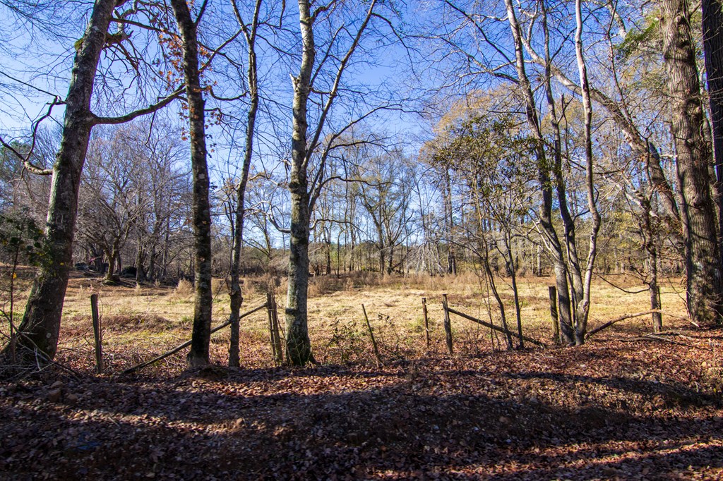 1-0 St Paul Church Road Shiloh, GA 31826 - Photo 7 of 28 a view of backyard of a house