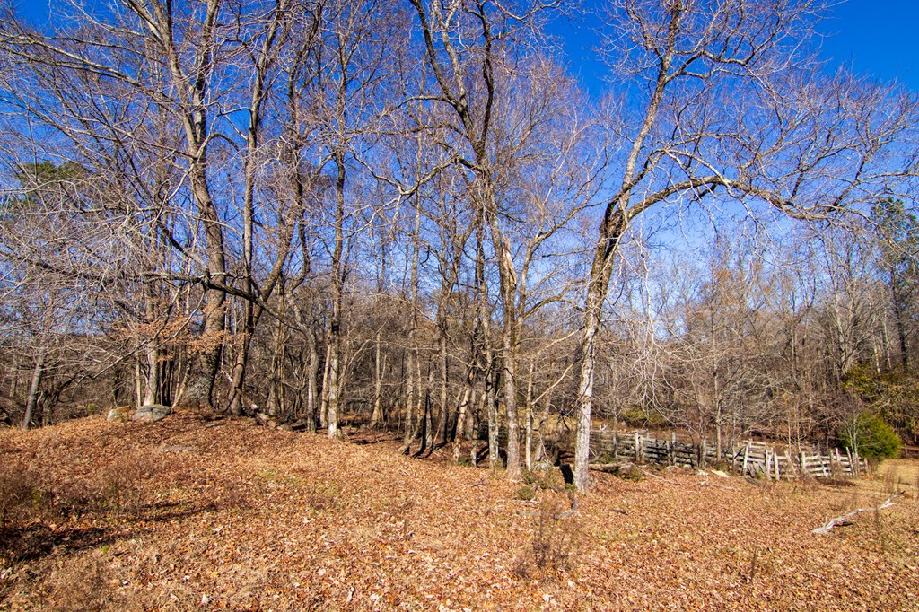 1-0 St Paul Church Road Shiloh, GA 31826 - Photo 10 of 28 a view of snow on a road