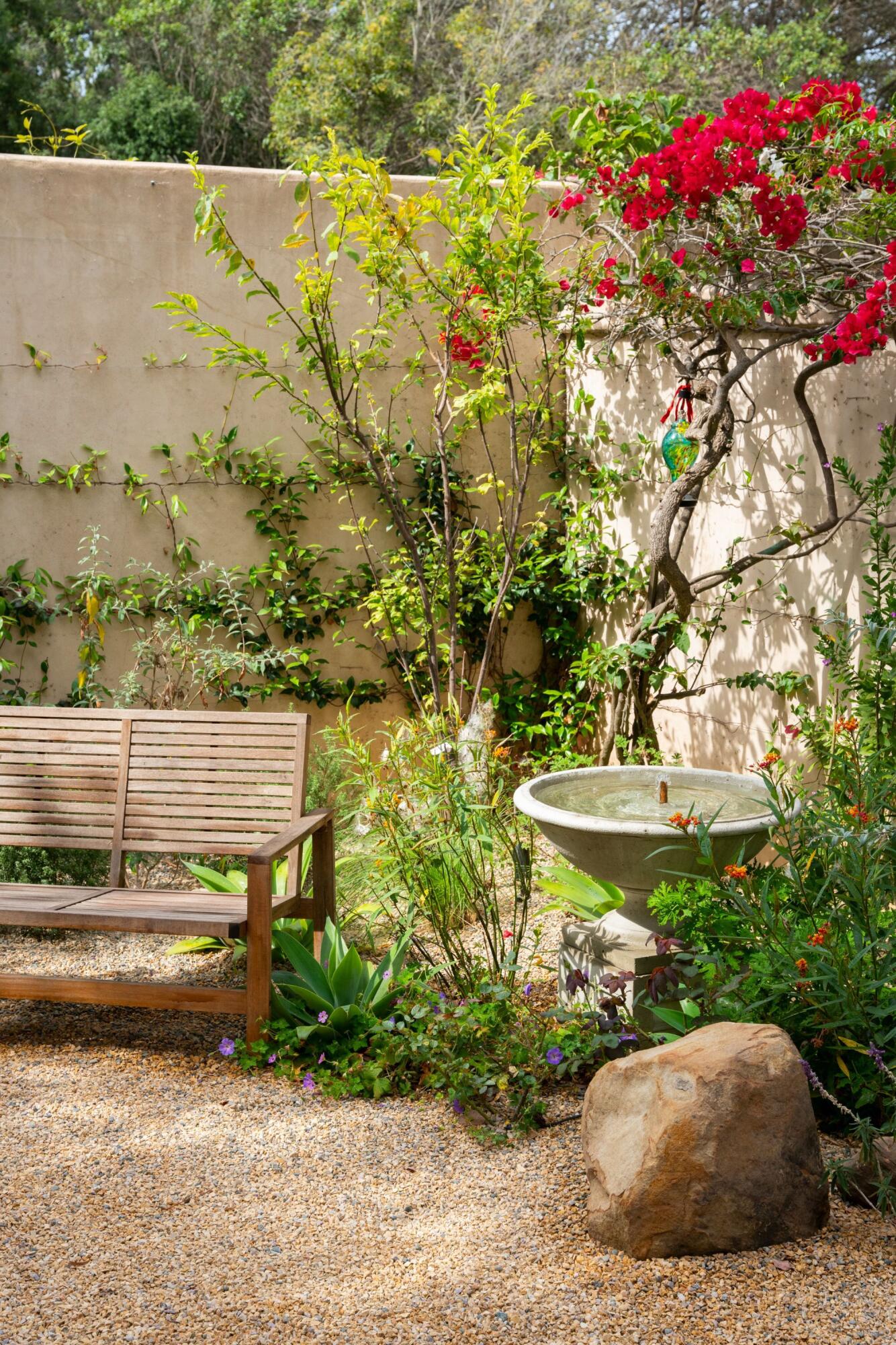 81 Depot Road Santa Barbara, CA 93108 - Photo 8 of 21 a view of a garden with plants and large trees