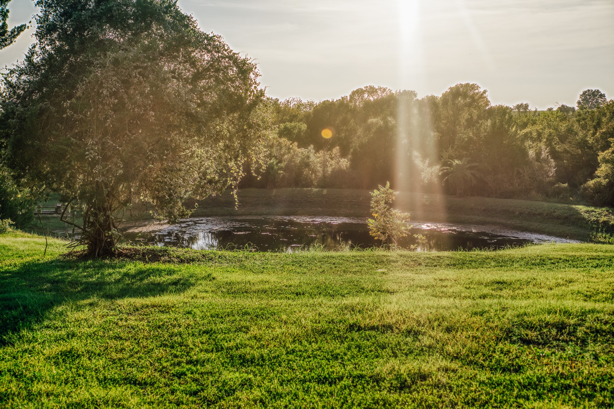 15484 Borgstedte Road Washington, TX 77880 - Photo 27 of 30 Gallery Image 27
