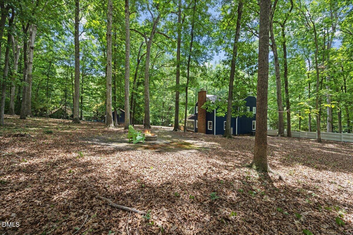 6516 Bakersfield Drive Raleigh, NC 27606 - Photo 49 of 59 a view of a tree in the middle of a forest