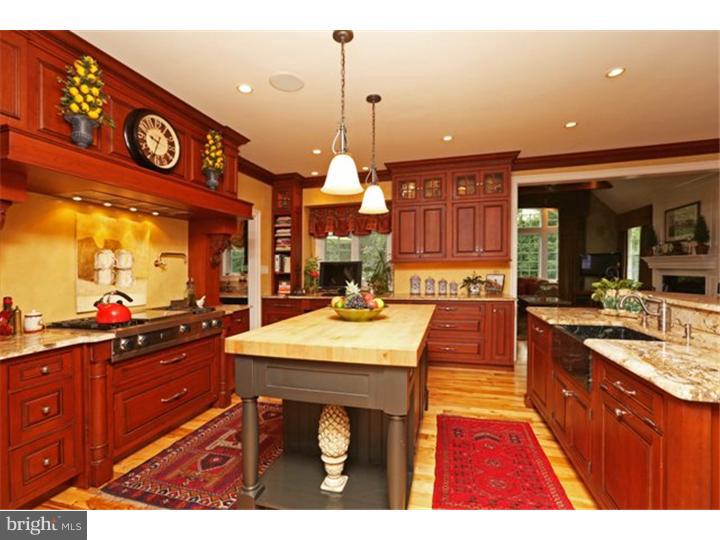 391 Bodine Road Berwyn, PA 19312 - Photo 8 of 25