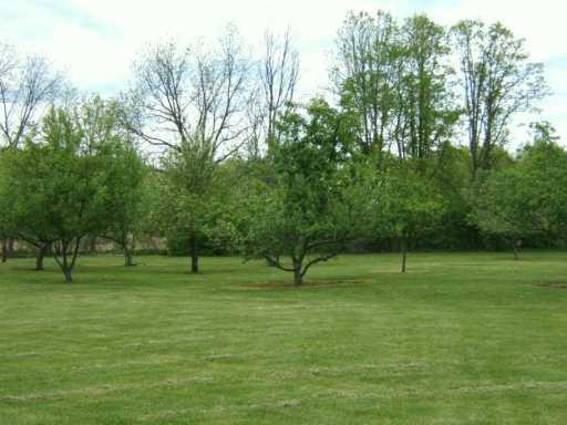 10655 Scio Church Road Chelsea, MI 48118 - Photo 8 of 8 Photo 8
