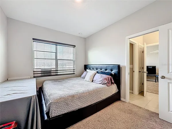 a backyard of a house with potted plants and a large tree