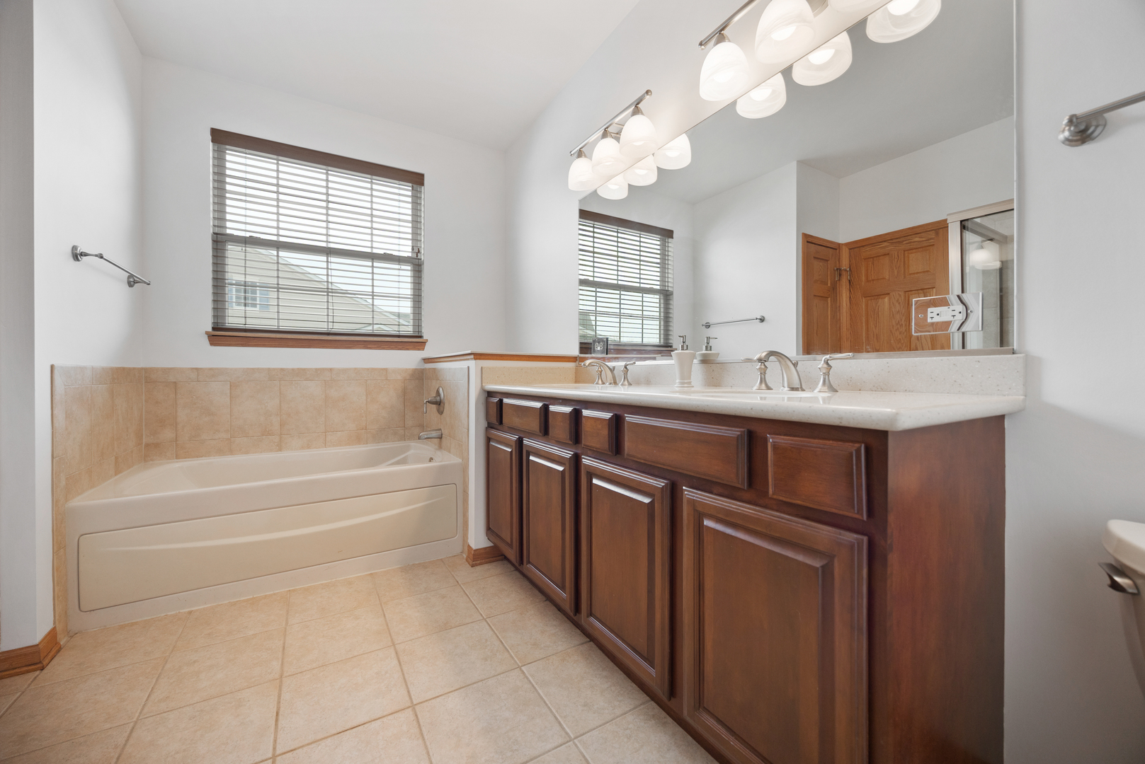 1385 Scarboro Road, Unit 204 Schaumburg, IL 60193 - Photo 14 of 18 a bathroom with a tub sink and a mirror
