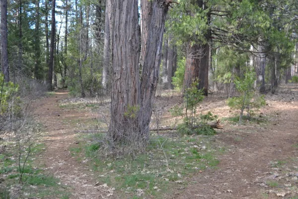 a backyard of a house with lots of green space