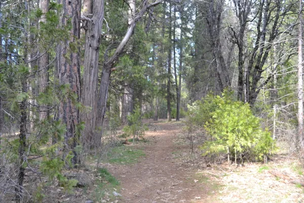 a backyard of a house with lots of green space