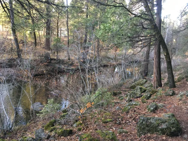 a backyard of a house with lots of green space