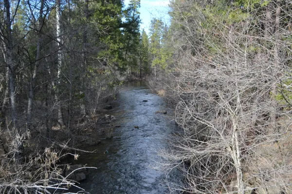 a view of a backyard of the house