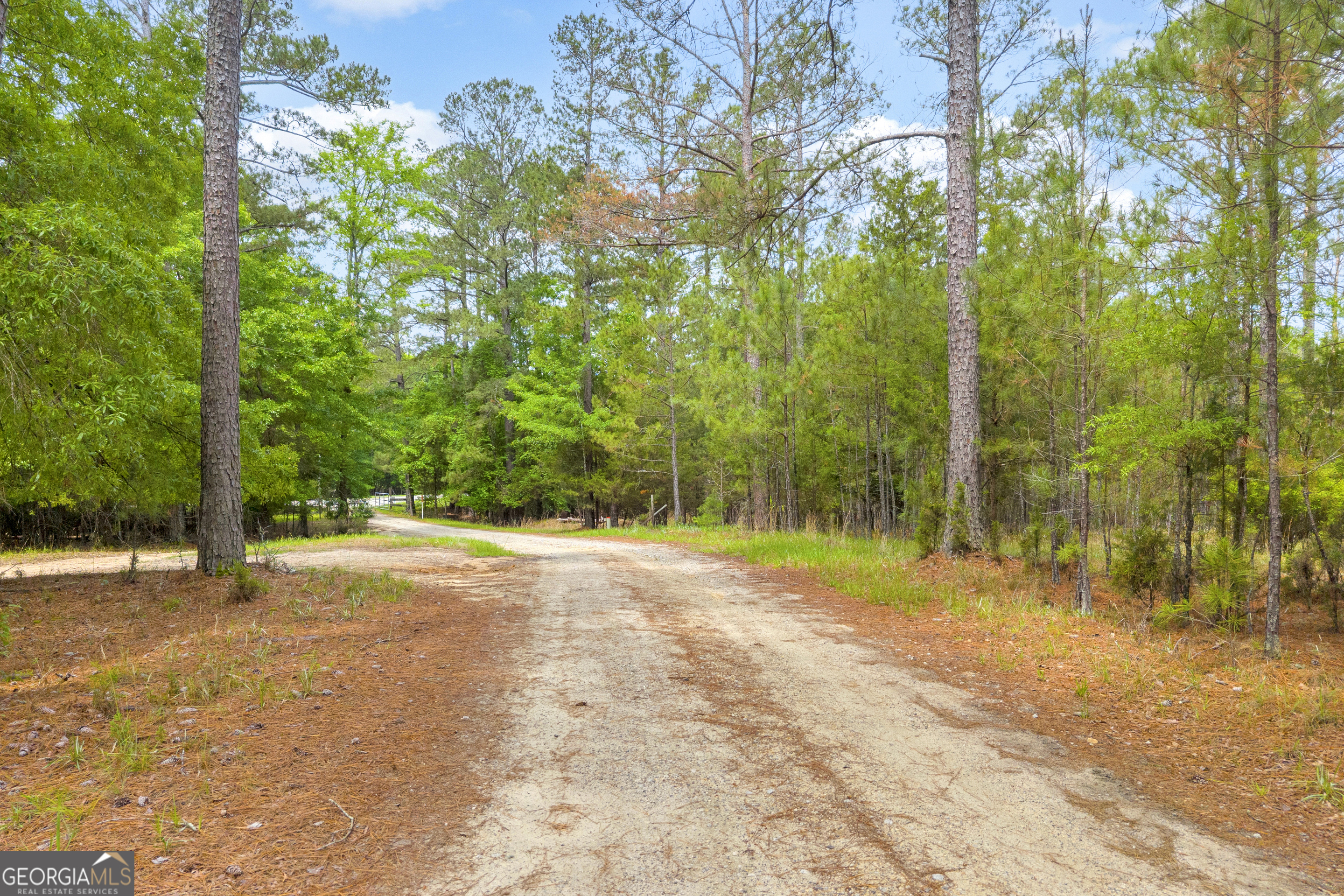 0 Clary Road Lincolnton, GA 30817 - Photo 14 of 16