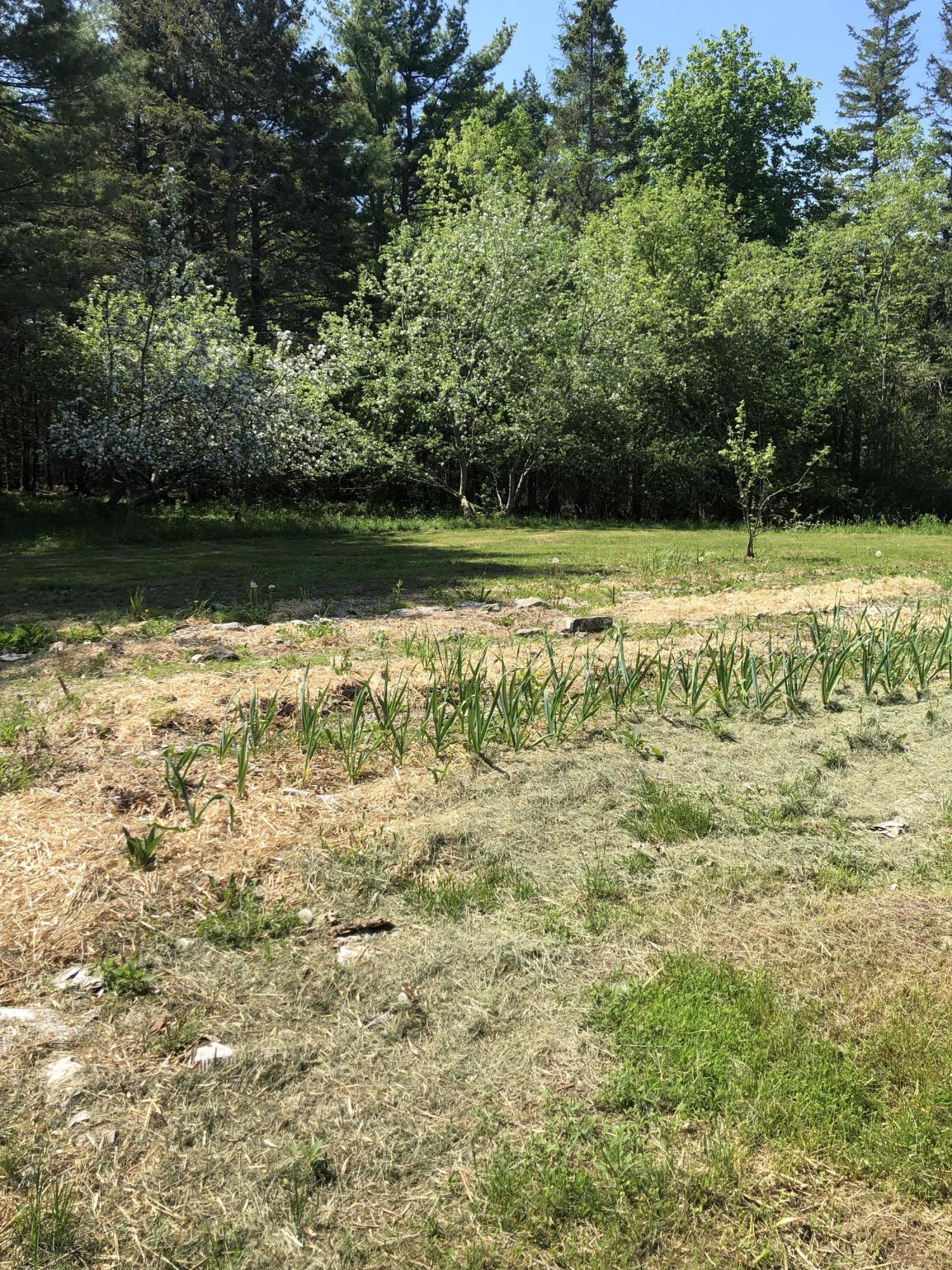 379 Hinckley Ridge Road Blue Hill, ME 04614 - Photo 24 of 33 IMG_6123