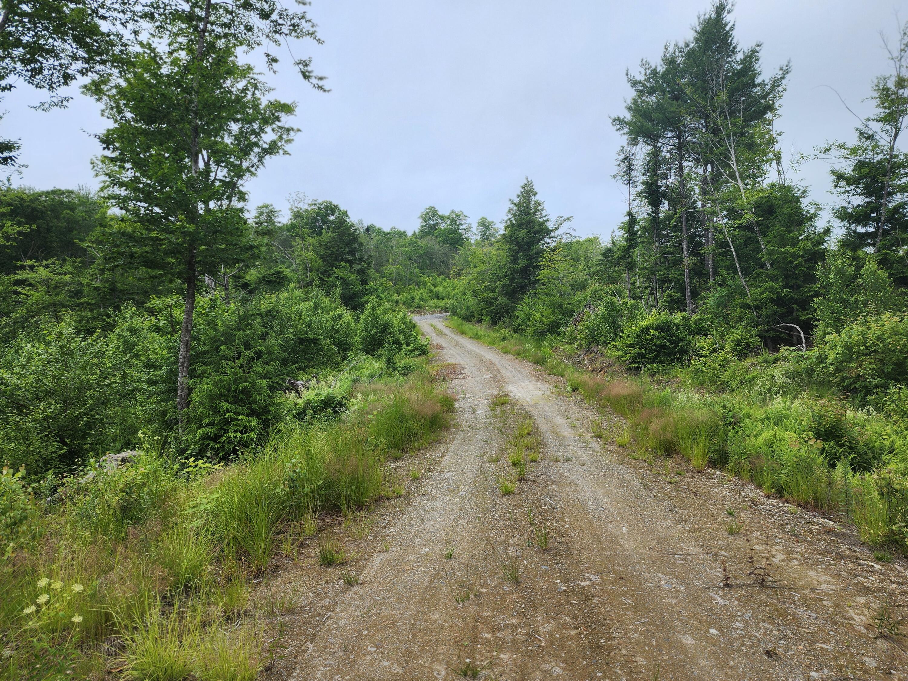 213 Moose Hl Road Ellsworth, ME 04605 - Photo 26 of 34 20250701_114230