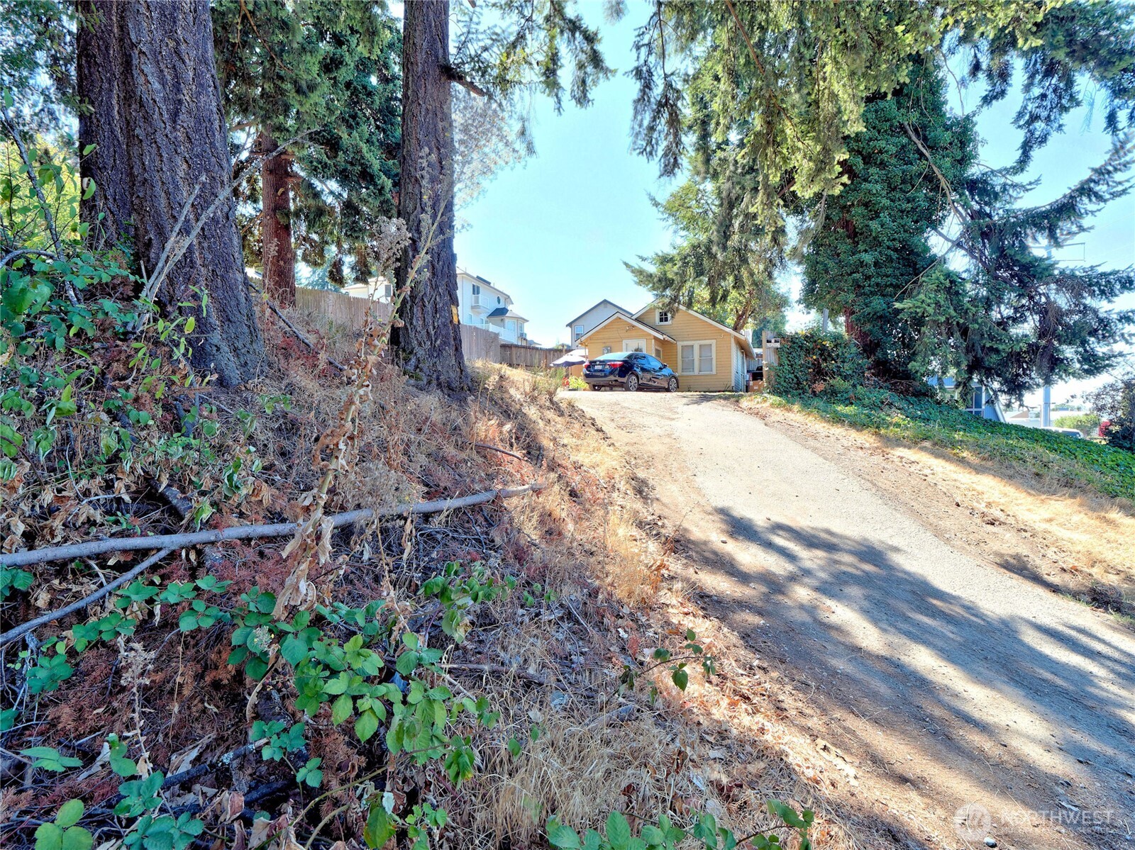 1409 Monroe Avenue Northeast Renton, WA 98056 - Photo 7 of 17 a road view of a house with a yard