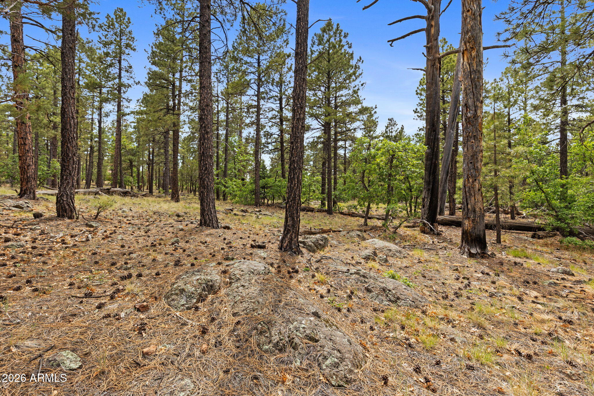1628 Canyon View Loop, Unit 27 Williams, AZ 86046 - Photo 20 of 27