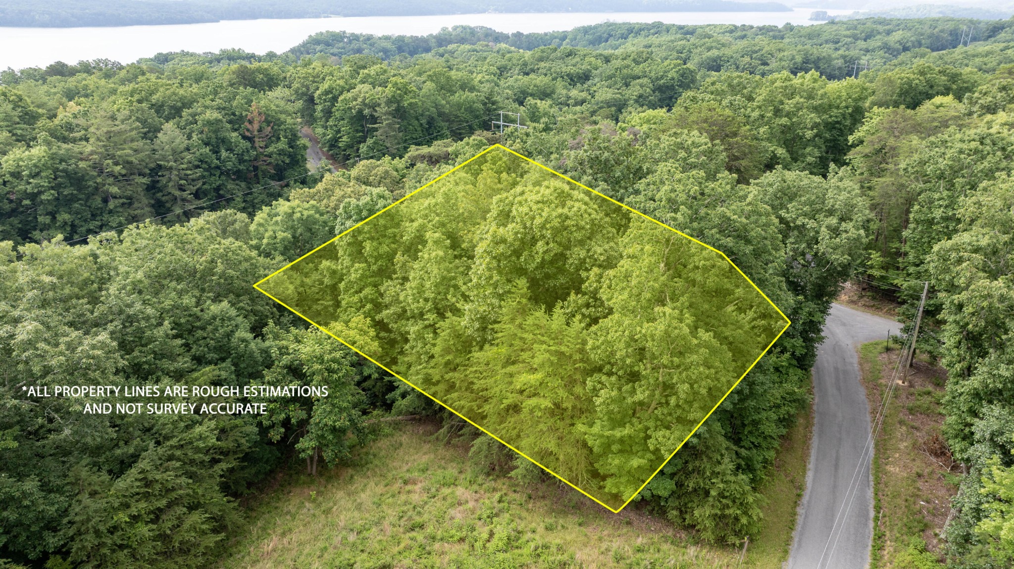 165 Maple Drive Spring City, TN 37381 - Photo 2 of 8