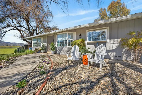 a view of a house with backyard and a tree