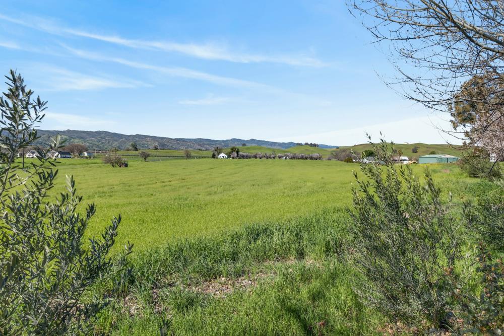 20690 County Road 79B Capay, CA 95607 - Photo 56 of 96
