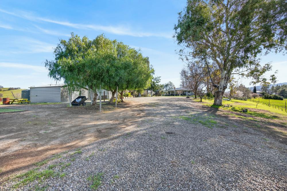 20690 County Road 79B Capay, CA 95607 - Photo 77 of 96 a view of a park with swings and trees