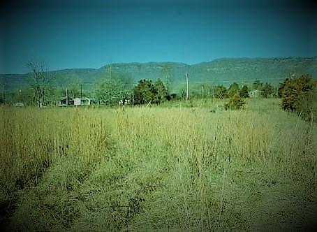 Monte Vista Road Ewing, VA 24248 - Photo 1 of 5 View of land and Mountain View