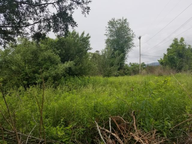 Monte Vista Road Ewing, VA 24248 - Photo 2 of 5 20180529174216513164000000-o